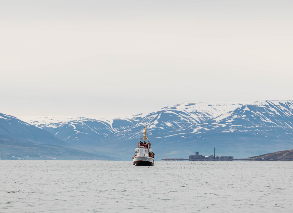 Iceland fishing boat
