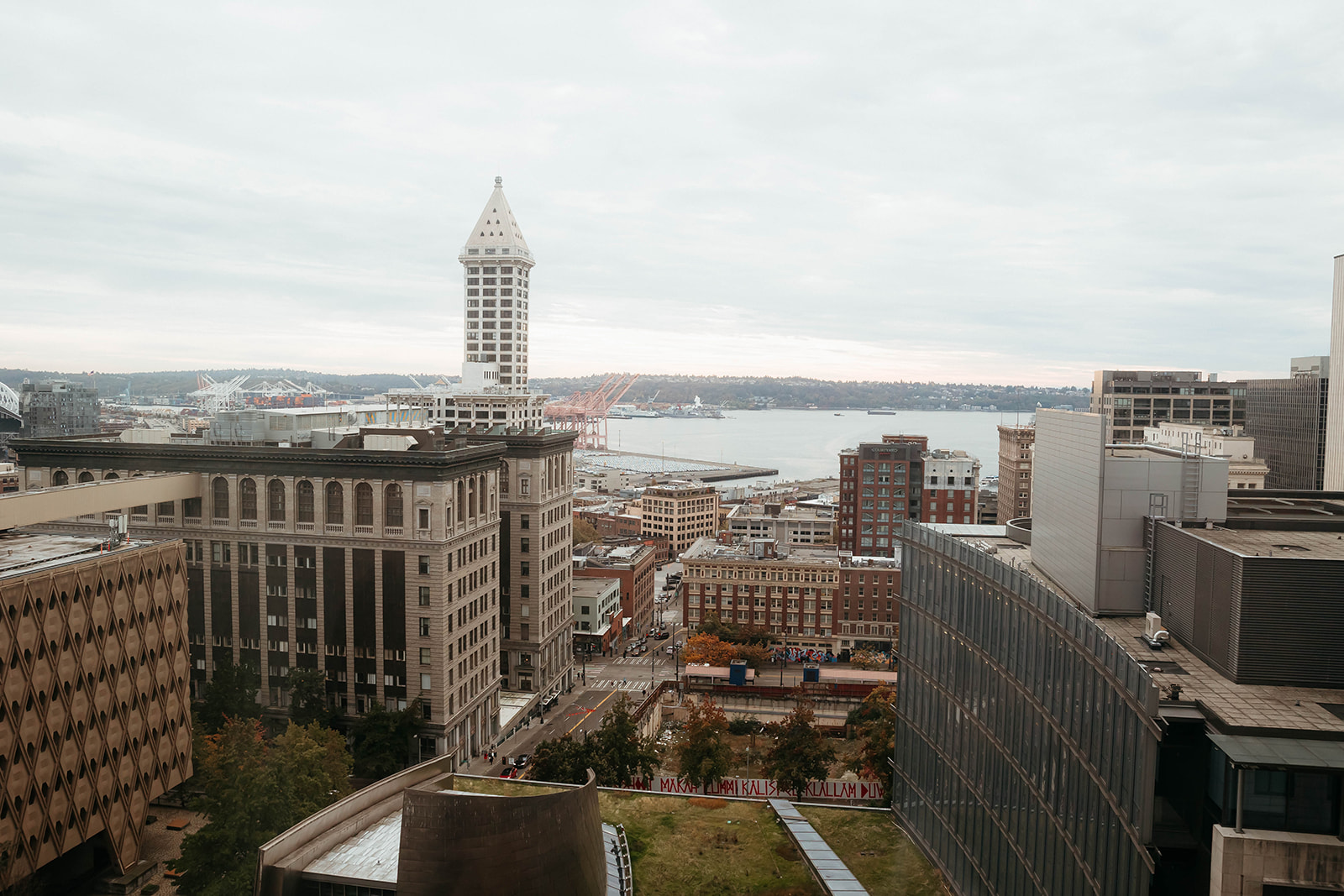 Seattle Elopement, Seattle Elopement Photographer, Seattle Courthouse Elopement, Elope in Seattle