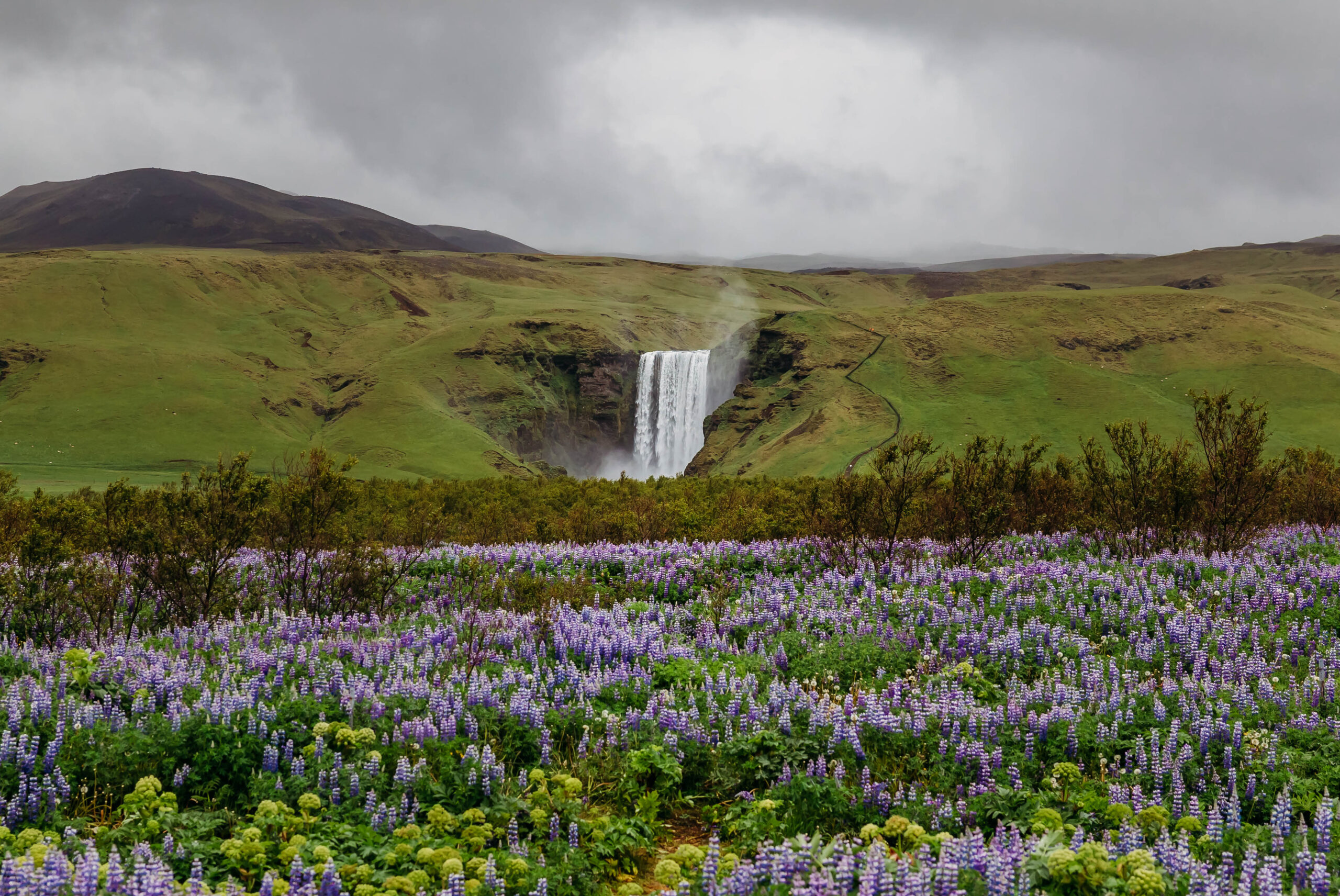 Skogafoss waterfall in Iceland