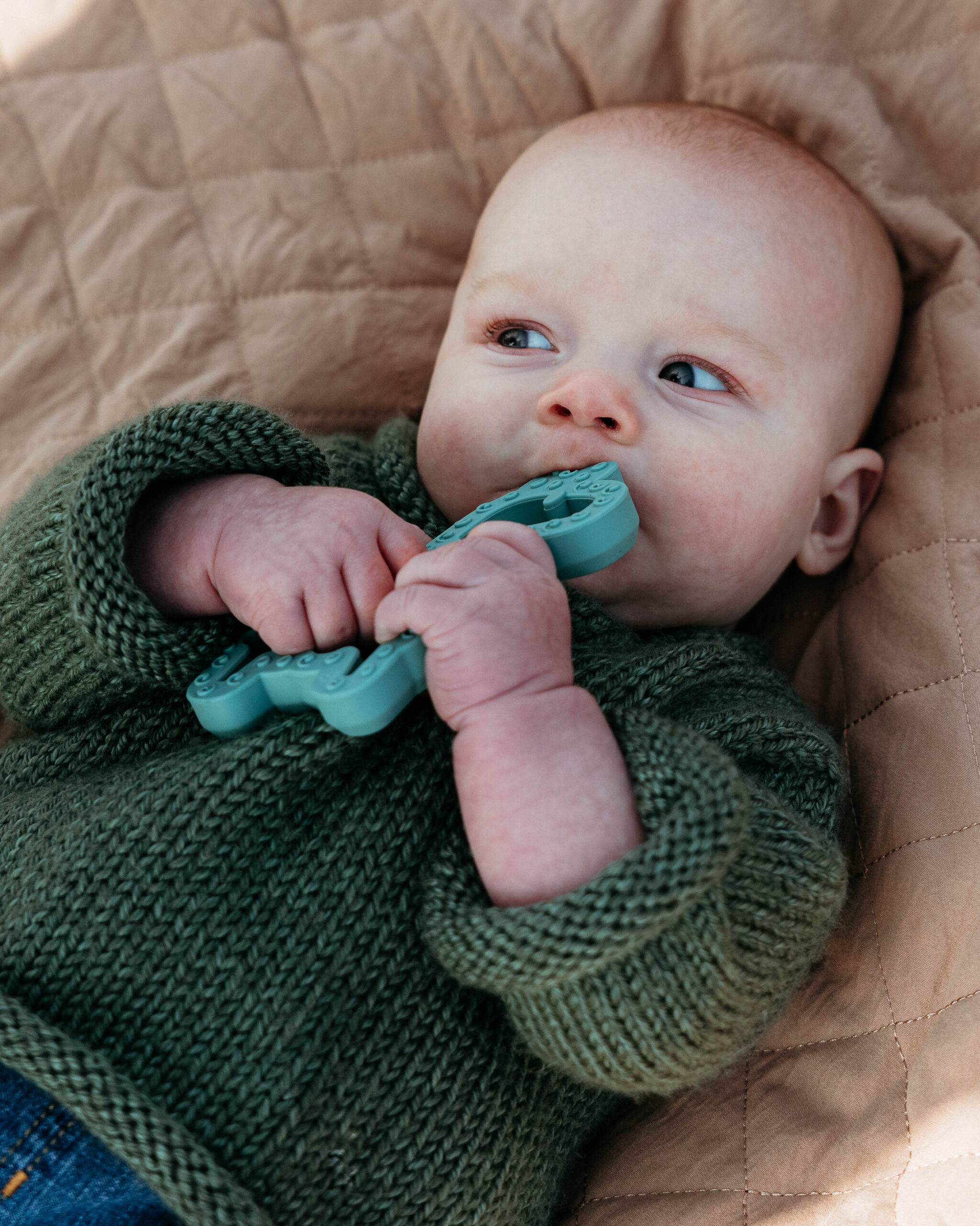 Pacific Northwest lifestyle photographer, washington family photographer, anacortes family photographer