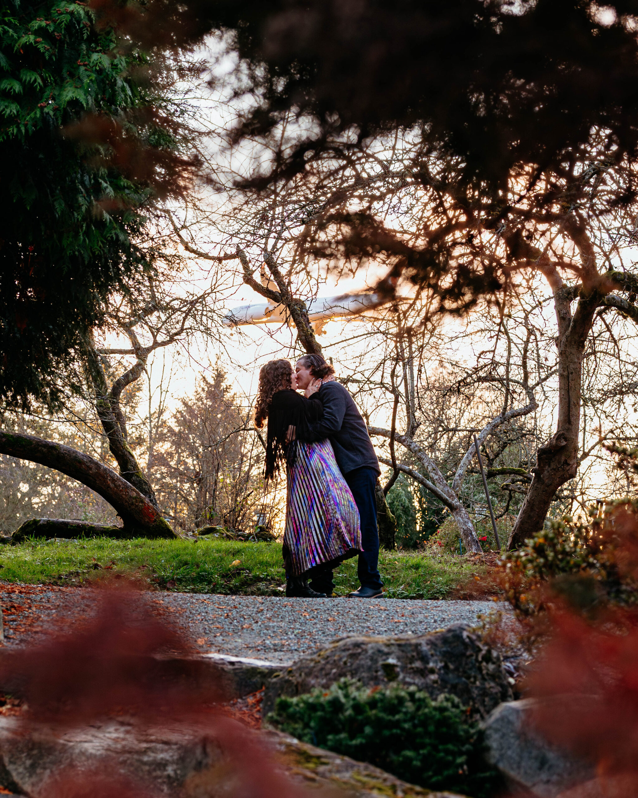 Plane flying in between the trees in Seattle, WA 