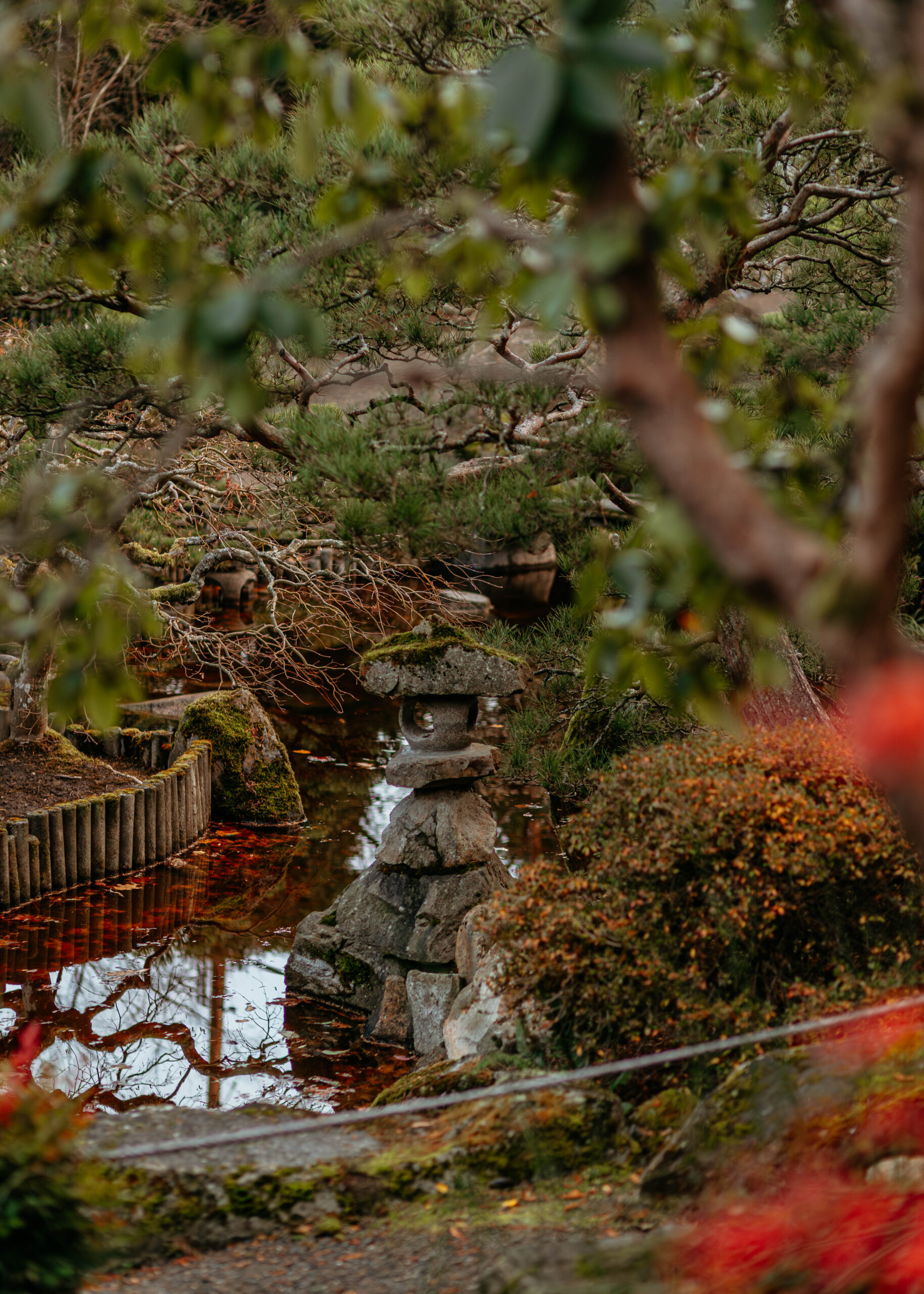 Botanical garden in Seattle, WA 